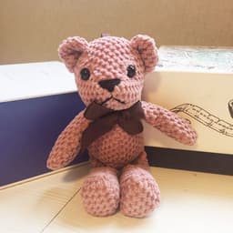 image-Pineapple Bear 20CM Plush Doll