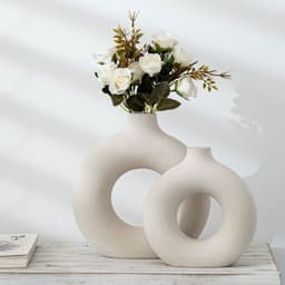 image-New Style Biscuit Vase Frosted Particle Flower Arranging Device
