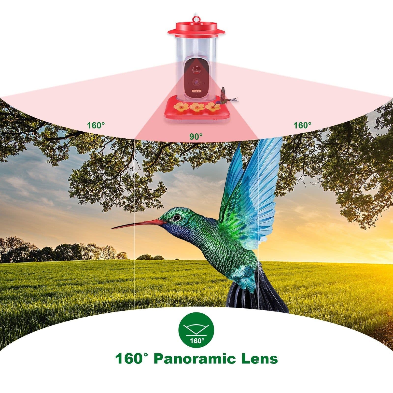image-Intelligent Visual Hummingbird Water Feeder 5MP Pixel Outdoor HD