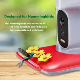 image-Intelligent Visual Hummingbird Water Feeder 5MP Pixel Outdoor HD