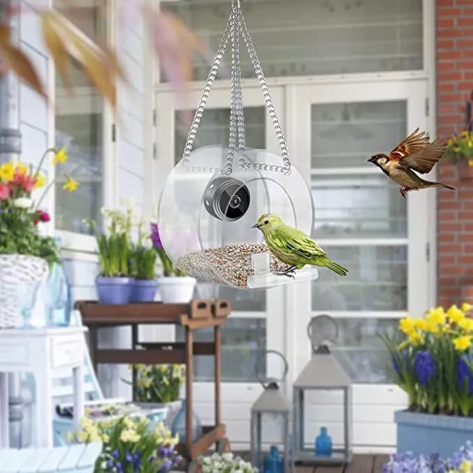 image-Pet Smart Feeder Outdoor Real-time Monitoring With HD Camera