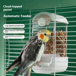 image-Parrot Automatic Pet Feeder Food Container