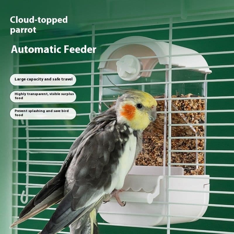 image-Parrot Automatic Pet Feeder Food Container