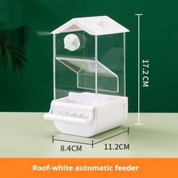 image-Parrot Automatic Pet Feeder Food Container