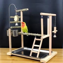 image-Parrot Toys Tiger Skin Peony Bird Stand Xuanfeng Xiaotai Stand Pepper Wooden Stand Sub-stand Pole