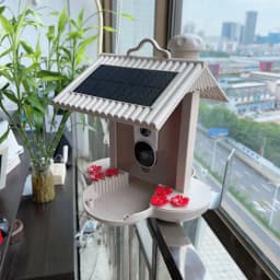 image-Intelligent Feeder 160 Degree Wide Angle AI Identify Birds
