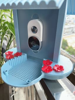 image-Intelligent Feeder 160 Degree Wide Angle AI Identify Birds
