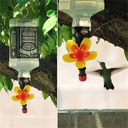 image-Outdoor Garden Courtyard Wine Bottle Bird Landscape Decoration Bird Feeder