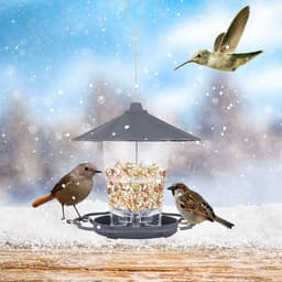 image-Opvouwbare Wilde Vogels Feeder Opknoping Birdcage Tuin Yard Outdoor Decoratie Met Afneembaar Dak Grote Capaciteit Bowls