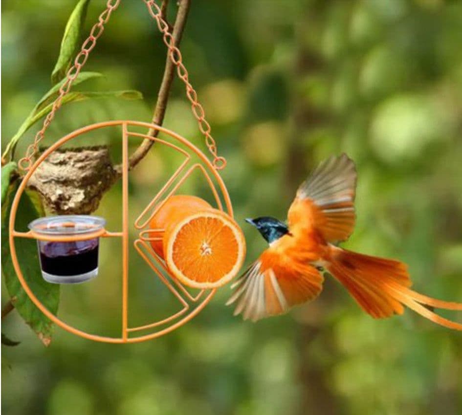image-Hanging Metal Bracket For Outdoor Feeding Of Hummingbirds