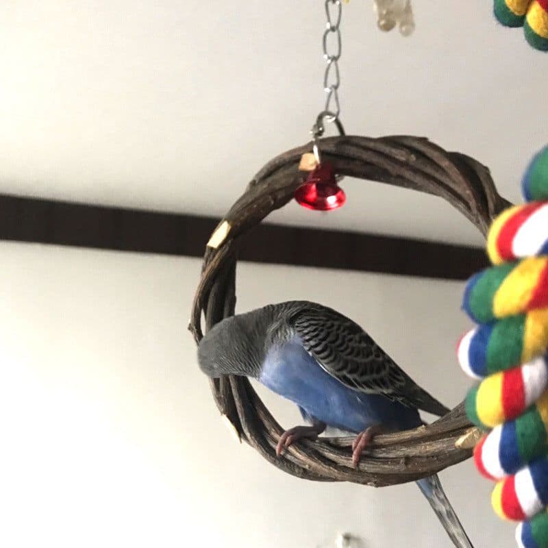 image-Bird Standing Frame Rattan Ring Chewing Toy Bird Cage