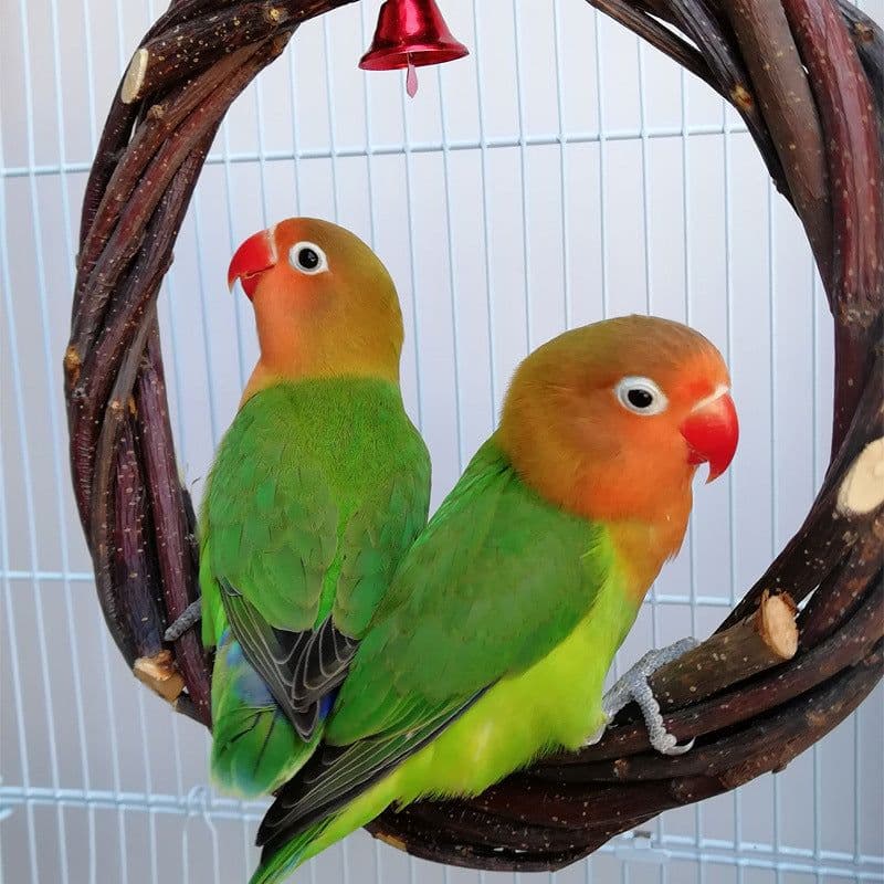 image-Bird Standing Frame Rattan Ring Chewing Toy Bird Cage
