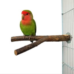 image-Bird Standing Frame Rattan Ring Chewing Toy Bird Cage