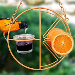 image-Oriole Bird Feeder Orange Fruit Outdoor Garden Metal Hanging Drinking Grape Jelly Container Farm Hummingbird Automatic Portable
