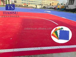 image-TIANSU PP Interlocking Basketball Court Tiles 15mm