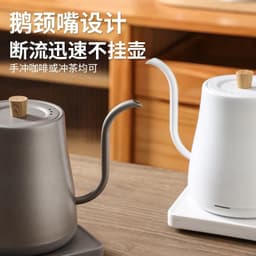 image-Telaiya Portable Electric Kettle 1500W Titanium