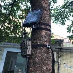 image-IP66 Waterproof Solar Panel Power Bank With Battery 8000Mah for Security Hunting Trail Camera 6V 9V 12V Solar Power Supply Kit