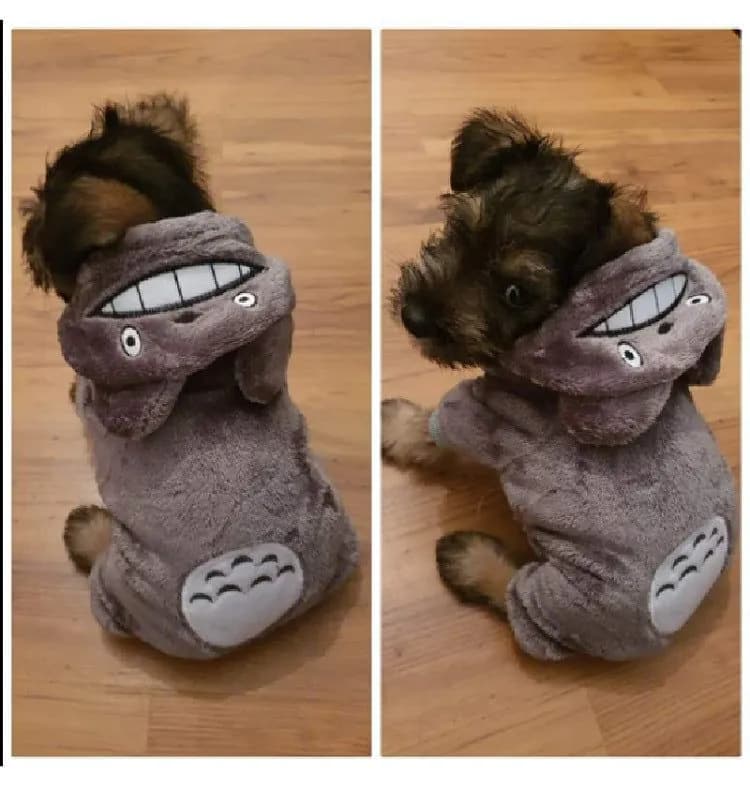image-Cat Transformation Suit Teddy Small Dog Costume Warm Dog Clothes Pet Clothes Autumn and Winter Models Four-legged Hooded