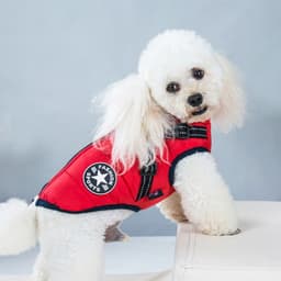 image-Cross-border pet clothes autumn and winter new waterproof fabric dog cotton-padded winter ski suit chest back integrated cotton vest