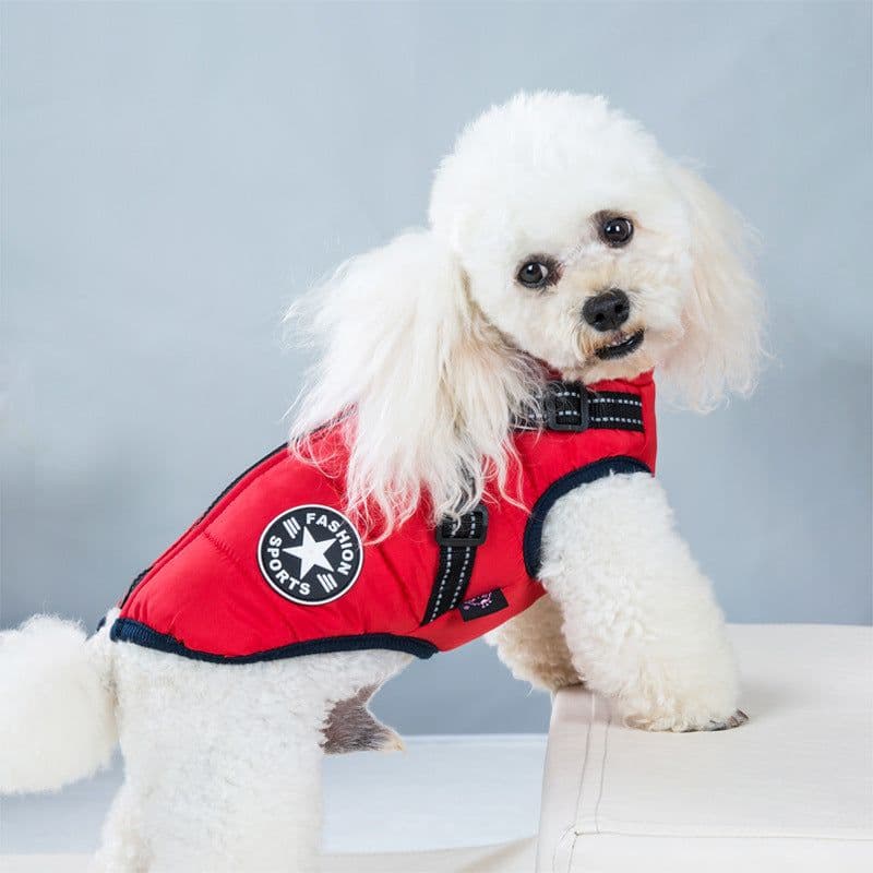 image-Cross-border pet clothes autumn and winter new waterproof fabric dog cotton-padded winter ski suit chest back integrated cotton vest