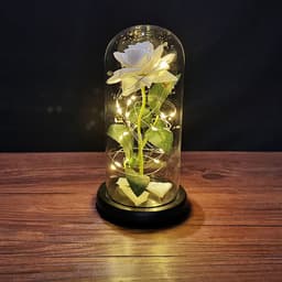 image-Rose flower glass cover gold foil flower with led light immortal flower Christmas Valentine's day ornaments cross-border e-commerce supply