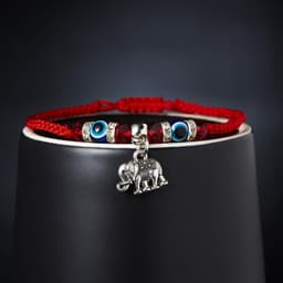 image-Cross-border e-commerce supply creative new blue eyes evil eyes red rope braided bracelet fashion adjustable bracelet wholesale