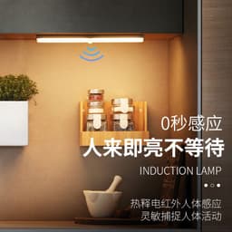 image-Intelligent human body induction led bedside lamp wireless night light long strip charging kitchen cabinet wardrobe light strip light strip