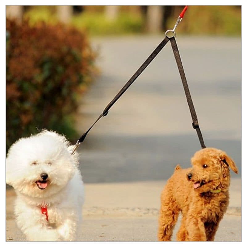 image-Manufacturers really supply wholesale dogs with one lead two double head leash mini dog polyester leash dog leash Amazon