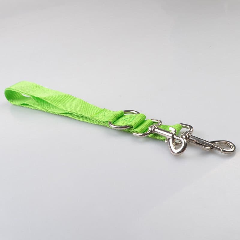 image-Manufacturers really supply wholesale dogs with one lead two double head leash mini dog polyester leash dog leash Amazon