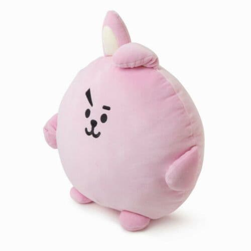 image-BTS New Cartoon Pillow Cushion PongPong Plush Cushion Pillow