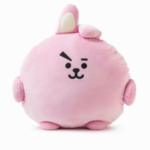 image-BTS New Cartoon Pillow Cushion PongPong Plush Cushion Pillow