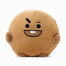 image-BTS New Cartoon Pillow Cushion PongPong Plush Cushion Pillow