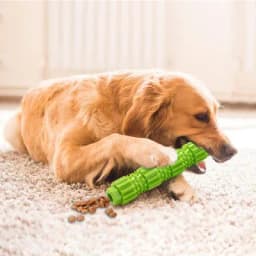 image-Cross-border factory spot wholesale pet toys pet supplies new dog toys leakage stick PTR toys
