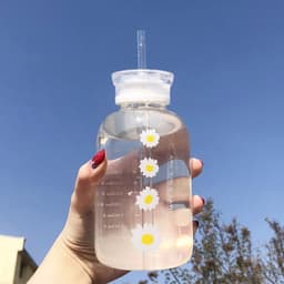 image-Glass Water Bottle with Straw Creative Daisy Frosted Transparent Cup Leakproof Portable Drinking Bottle with a Sealing Cap Lid