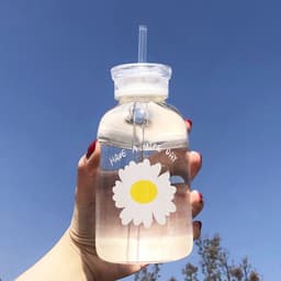 image-Glass Water Bottle with Straw Creative Daisy Frosted Transparent Cup Leakproof Portable Drinking Bottle with a Sealing Cap Lid