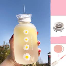 image-Glass Water Bottle with Straw Creative Daisy Frosted Transparent Cup Leakproof Portable Drinking Bottle with a Sealing Cap Lid