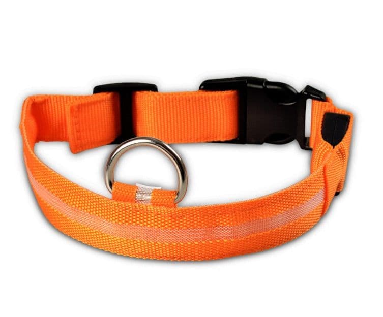 image-Nylon LED Pet Dog Luminous Collar Night Safety Flashing Glow in Dark Dog Cat Leash Adjustable Pet Supplies