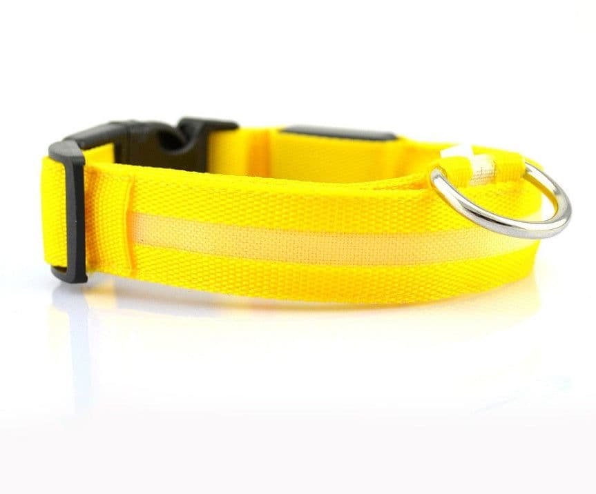 image-Nylon LED Pet Dog Luminous Collar Night Safety Flashing Glow in Dark Dog Cat Leash Adjustable Pet Supplies