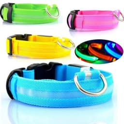 image-Nylon LED Pet Dog Luminous Collar Night Safety Flashing Glow in Dark Dog Cat Leash Adjustable Pet Supplies