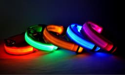 image-Nylon LED Pet Dog Luminous Collar Night Safety Flashing Glow in Dark Dog Cat Leash Adjustable Pet Supplies