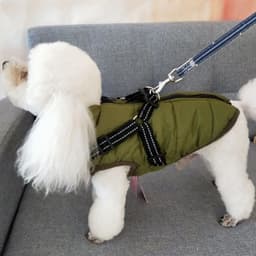 image-Waterproof Dog Clothes Winter Dog Coat With Harness Warm Pet Clothing Big Dog Jacket Chihuahua Labrador Coat Costume
