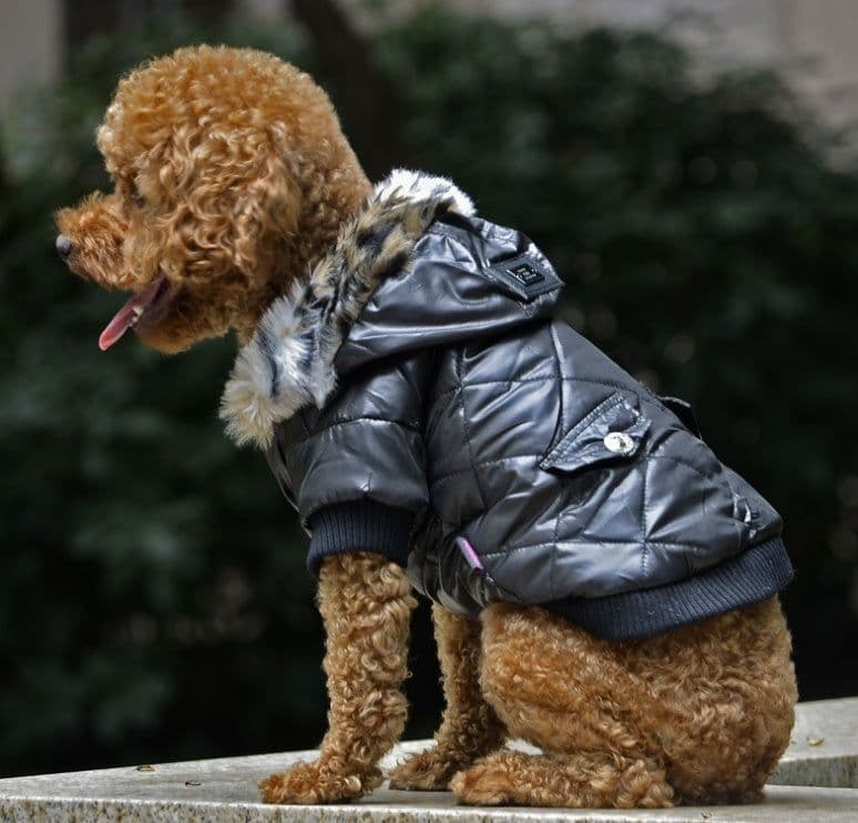 image-Cross-border pet supplies pet clothes dog clothes autumn and winter fur collar coat pet dog clothing