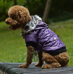 image-Cross-border pet supplies pet clothes dog clothes autumn and winter fur collar coat pet dog clothing