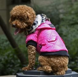 image-Cross-border pet supplies pet clothes dog clothes autumn and winter fur collar coat pet dog clothing