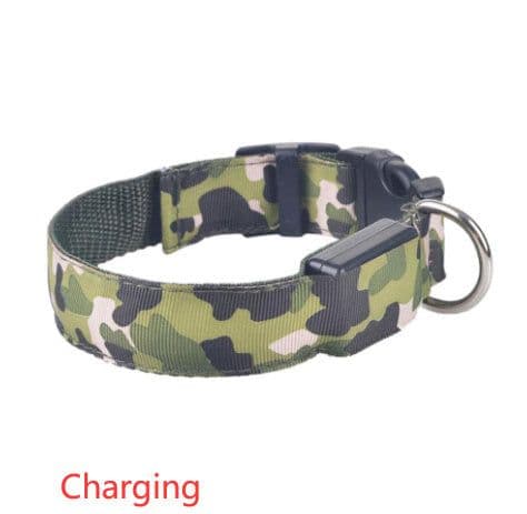 image-Camouflage pet supplies luminous dog collar
