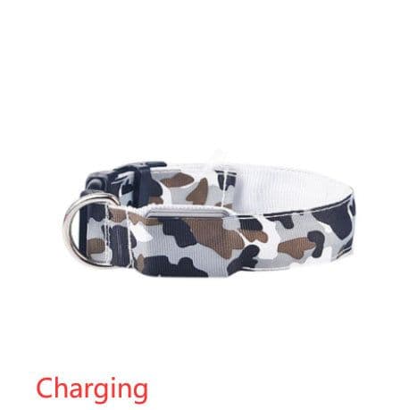 image-Camouflage pet supplies luminous dog collar