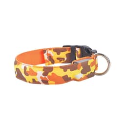 image-Camouflage pet supplies luminous dog collar