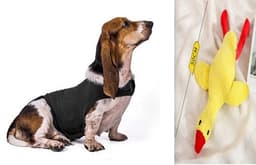 image-Anxiety Jacket Vest Summer Medical Treatment To Calm Down Cat Clothes Dog Comfort Clothes