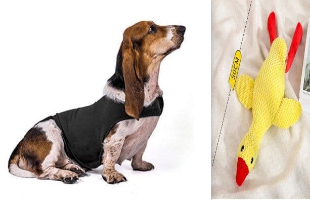 image-Anxiety Jacket Vest Summer Medical Treatment To Calm Down Cat Clothes Dog Comfort Clothes