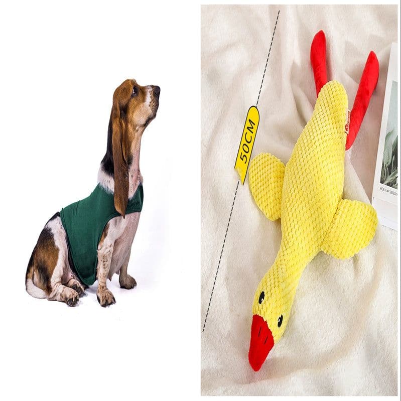 image-Anxiety Jacket Vest Summer Medical Treatment To Calm Down Cat Clothes Dog Comfort Clothes